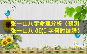 张一山八字命理分析（预测张一山八 🦄 字何时结婚）